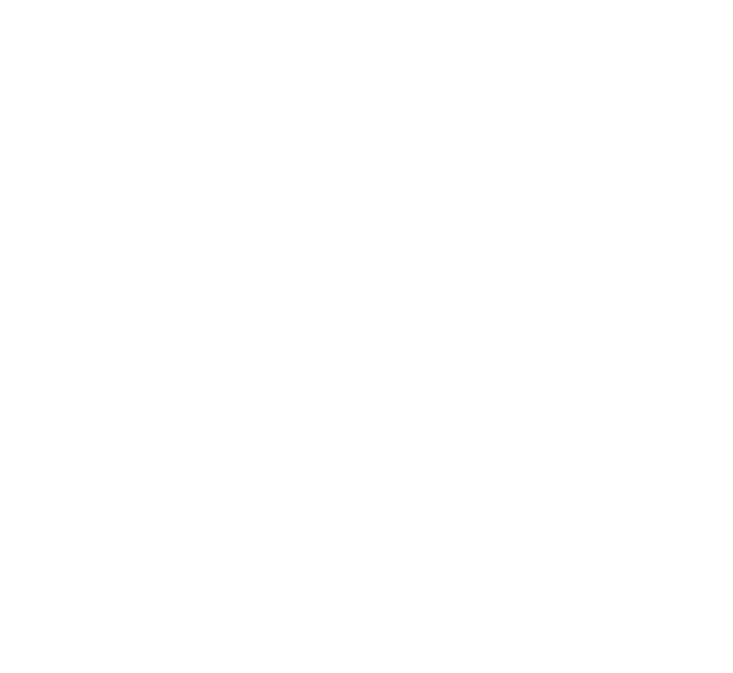 Martins & Gomes
